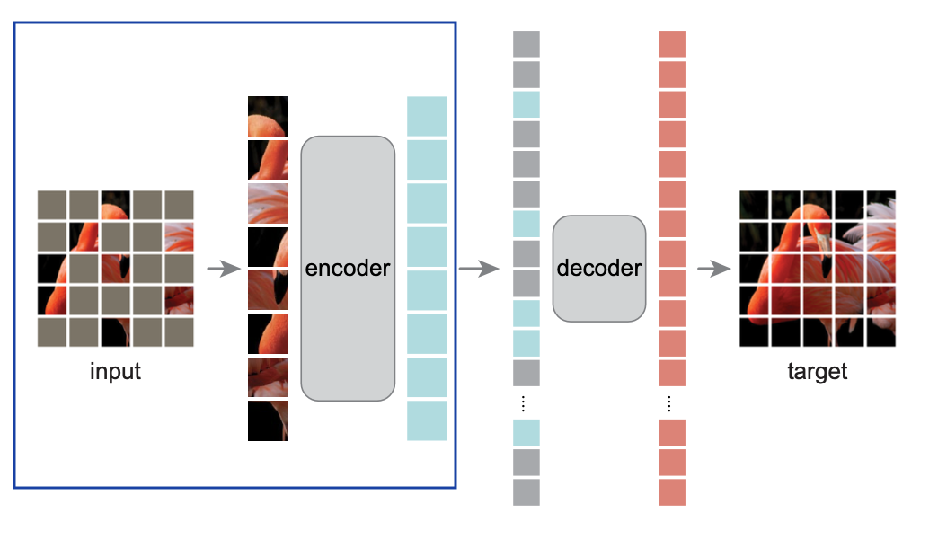 MAE model architecture. Source: paper