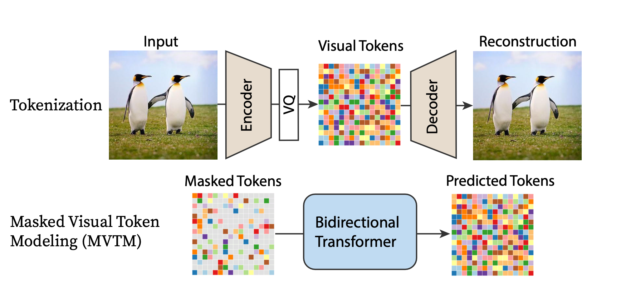 MaskGIT Architecture. Source: paper