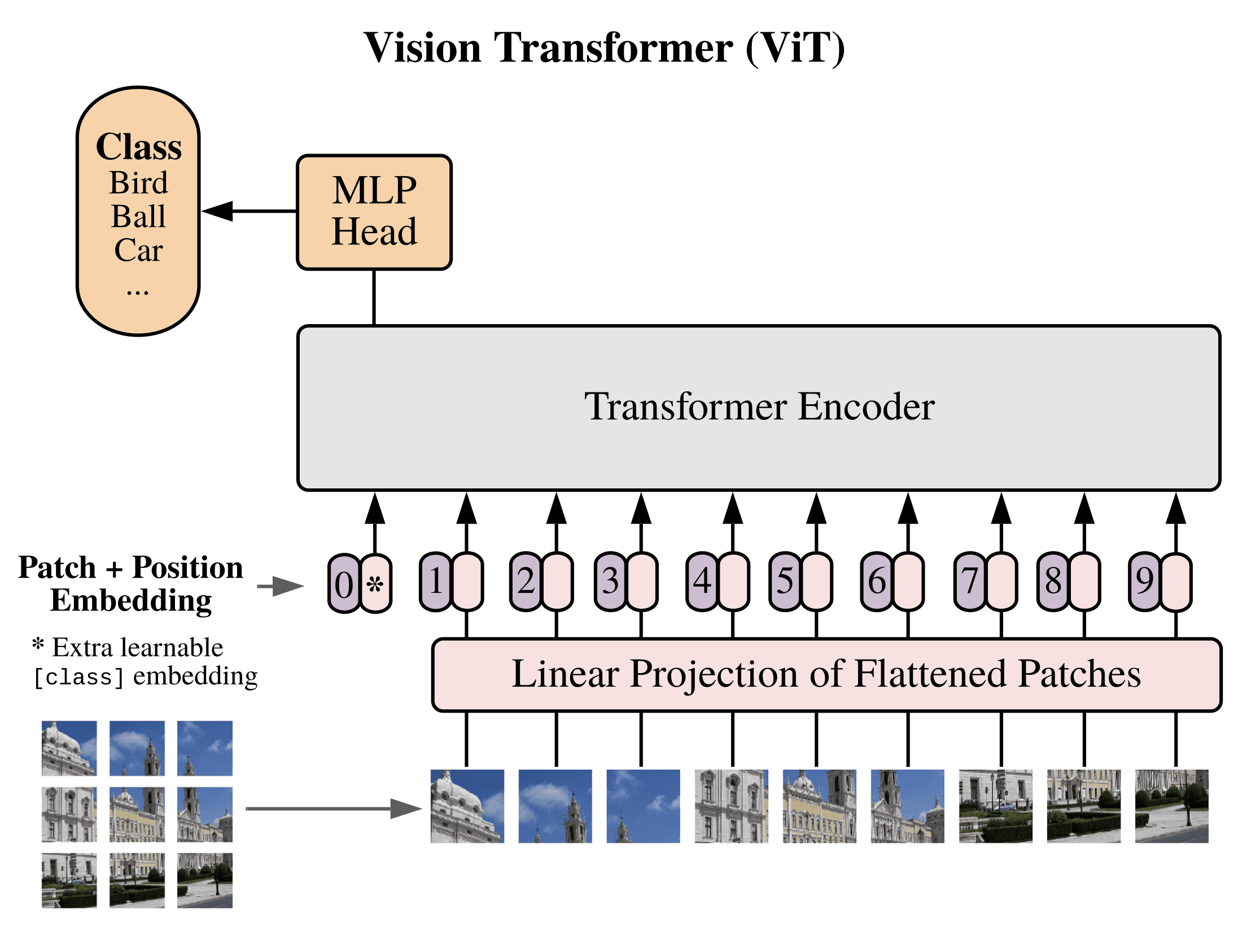 ViT architecture. Source: Machine Learning Mastery